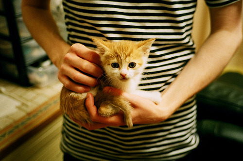 爱游戏下载-_飞盘运动嘉年华：趣味合作的极致体验_，飞盘运动比赛